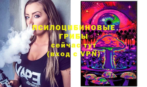 шишки Алексин