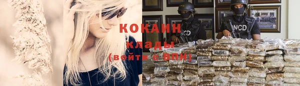 spice Алзамай