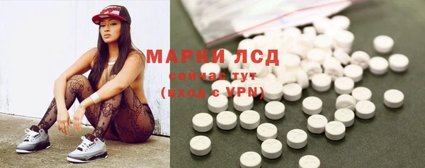 spice Алзамай