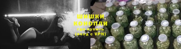 шишки Алексин