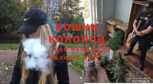 шишки Алексин