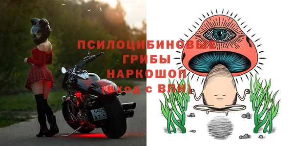 прущие грибы Алексеевка