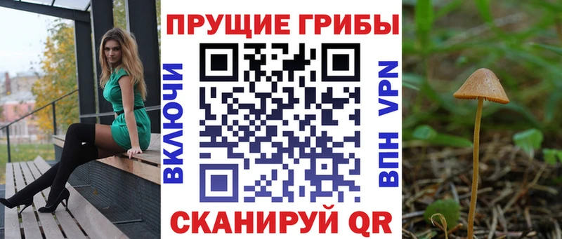 хочу   Рубцовск  Псилоцибиновые грибы Magic Shrooms 